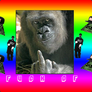 •UçanGoril S.T• avatar