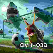 ФУНЧОЗА