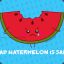 Melancholic Watermelon :C