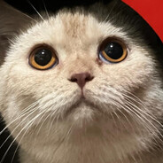 ≧◥▶ ᴥ ◀◤≦ฅ