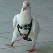 Admiral SeaGull