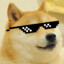 Cool Doge