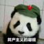 橘子酱o0