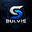 bulvis avatar