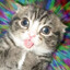 Meowzilla