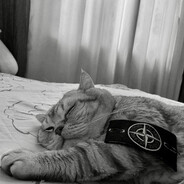 ⭕⃤  🆃𝔸Ⓛ︎∀̗₦Ț