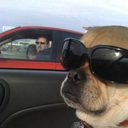 壮士先杀我队友