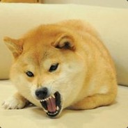 头像是哈气柴犬的符号