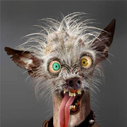 вонючий лавандыш