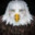 Marvin Beak