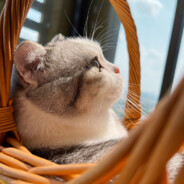 每天两眼一睁只想安息