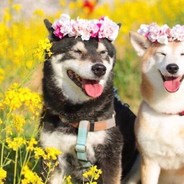 引流之主玻璃棒