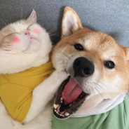 解密类游戏请滴滴Kenny