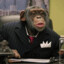 TheChimp