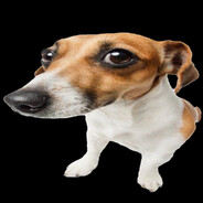 Harvey
