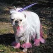 achivetta - steam id 76561197964345138