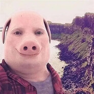 shypiggy