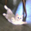 デート
