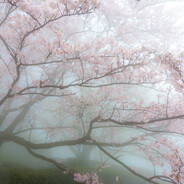 астральная ночь )