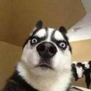 哈塞给