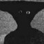 him