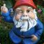 Angry Gnome