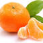 Orange.skins.army