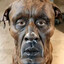 Dogman