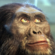 australopitek avatar