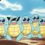 .^.&#039; a Busfull of Squirtle!?:3