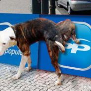 Agregarme: victor46alvarez