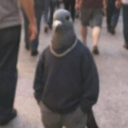 🥶 Drippy Coo 🥶