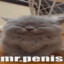 MrBlitz