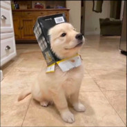 鼻子顶豆舌头分肉