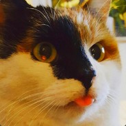 Sjöstedt - steam id 76561197962283421