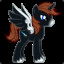 Squall Ponyherz