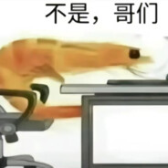 帝皇高质量马桶揣