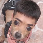 BIFÃO ACEBOLADO