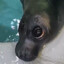 Wojti