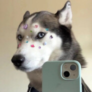 可怕的二狗老师