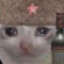 TheDrunkenSovietCat