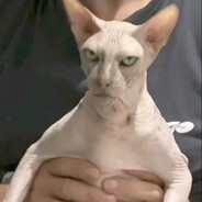 ♔✯KARİDES♔✯♔