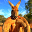 Steam avatar