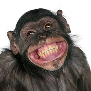 monkey avatarı