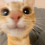 iPeekr