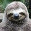 SarcasticSloth