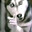 Lord_001