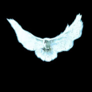 flawlss avatar