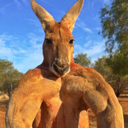 𝑲𝒖𝒓𝒂𝒏𝒕𝒆 ✓ - steam id 76561198789882067