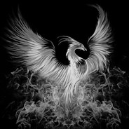 eX_409Phoenix 🇫🇷 avatar